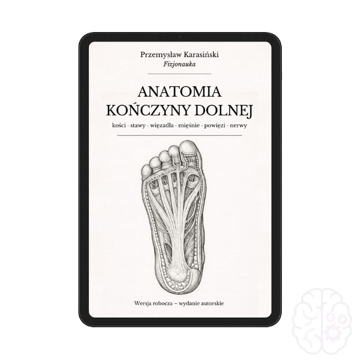 Anatomia kończyny dolnej: e-book